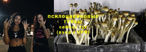 молекула духа Арсеньев