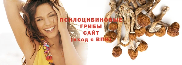 MESCALINE Аркадак