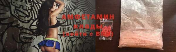 молекула духа Арсеньев