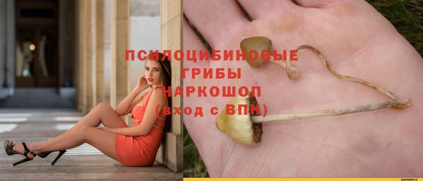 молекула духа Арсеньев