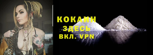 молекула духа Арсеньев