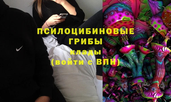 прущие крисы Армянск