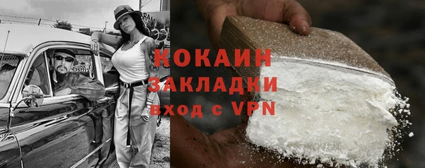 молекула духа Арсеньев