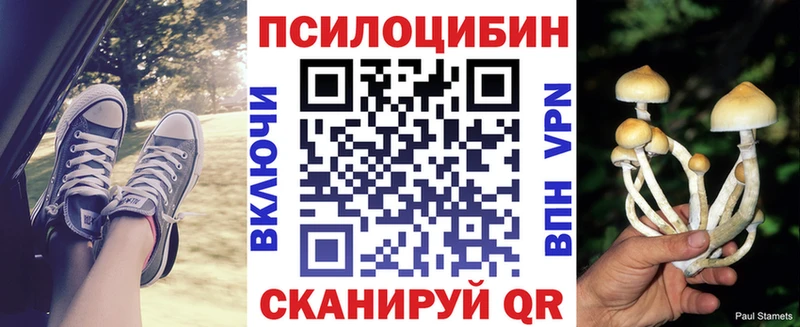 Псилоцибиновые грибы Psilocybine cubensis  Багратионовск 